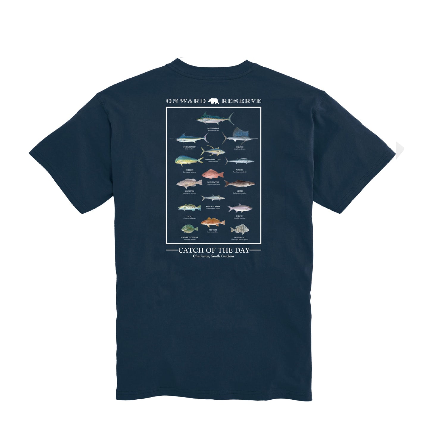 Onward Reserve Coastal Fish Tee