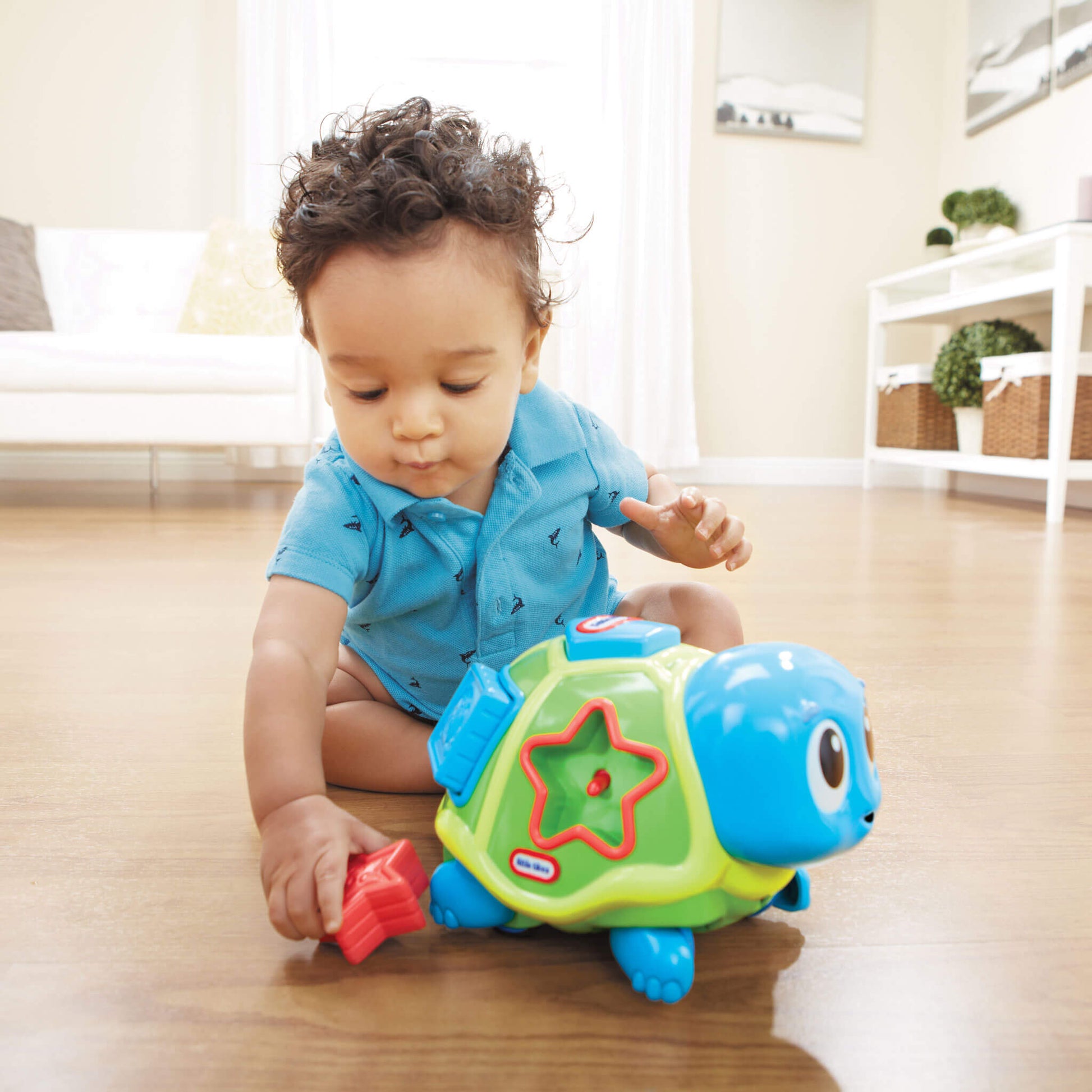Crawl 'n Pop! Turtle - Shape Sorter & Crawling Toy | Little Tikes Online