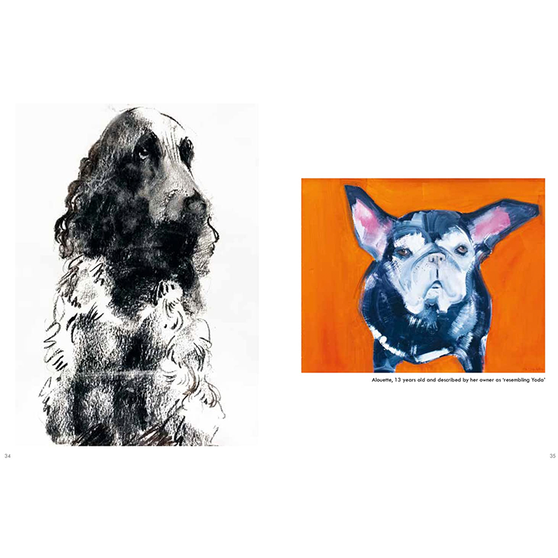 Onward Reserve Old Dogs: Sally Muir