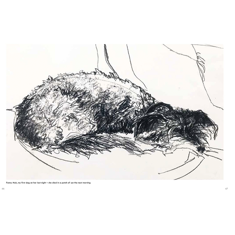 Onward Reserve Old Dogs: Sally Muir