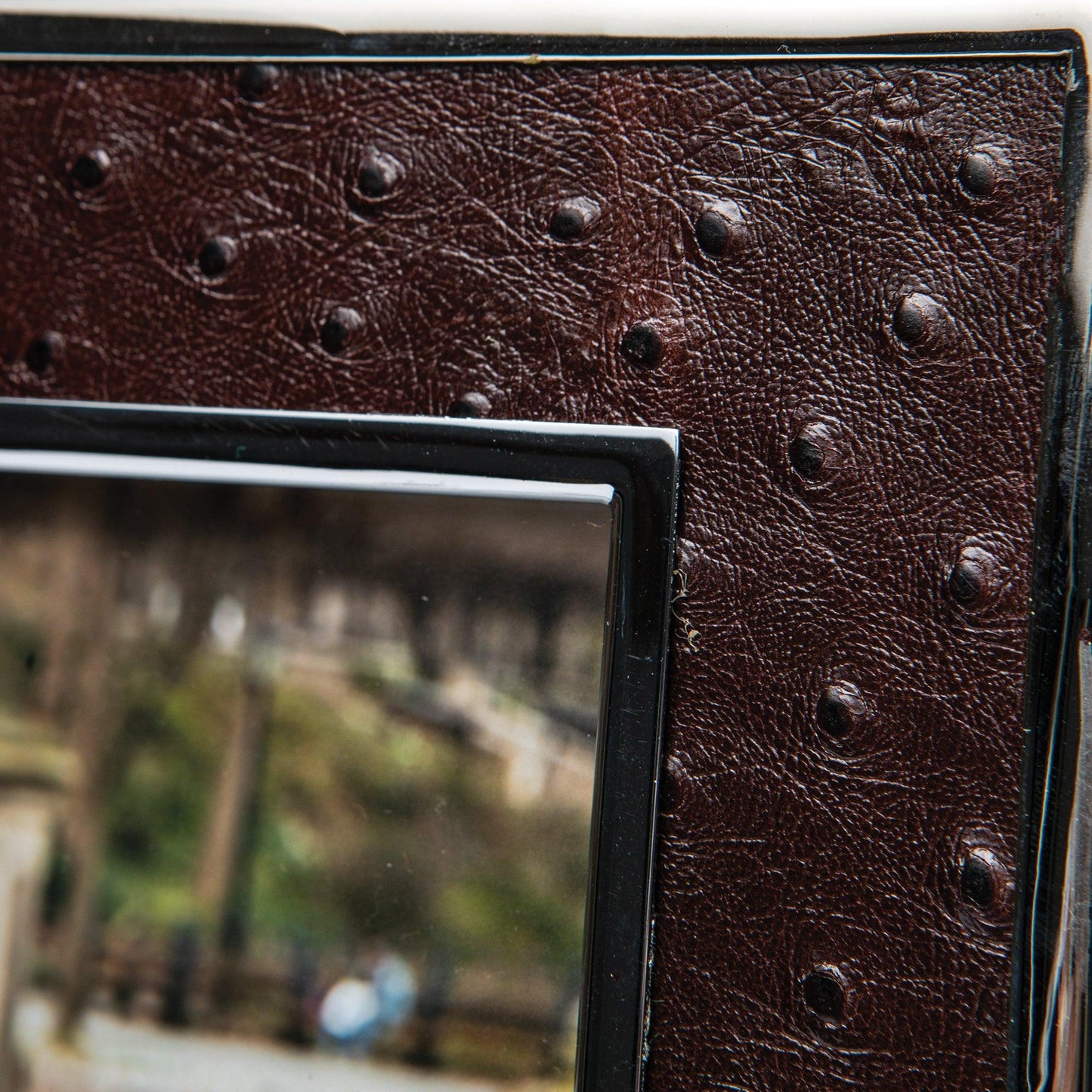 Onward Reserve Leather Ostrich Frame with Nickel Plated Rim - 5x7