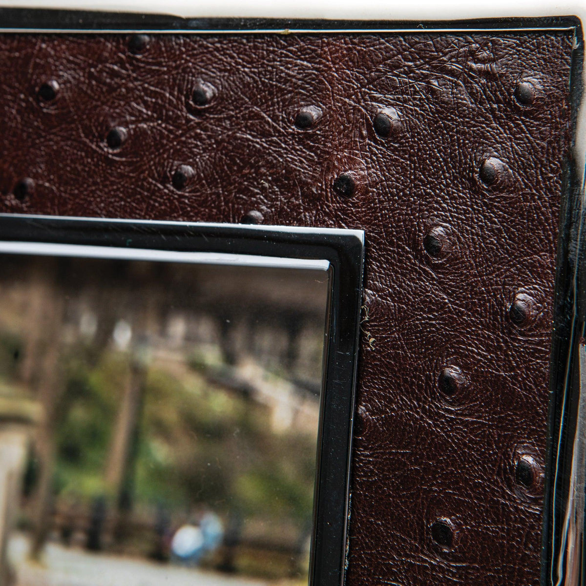 Onward Reserve Leather Ostrich Frame with Nickel Plated Rim - 5x7